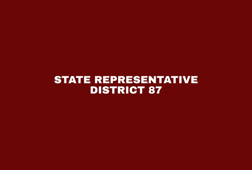 State Representative District 87